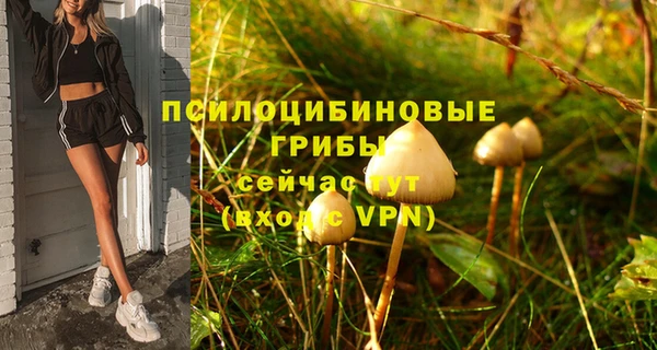 твердый Бугульма