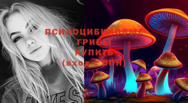 mix Бронницы