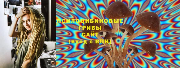ALPHA-PVP Бородино