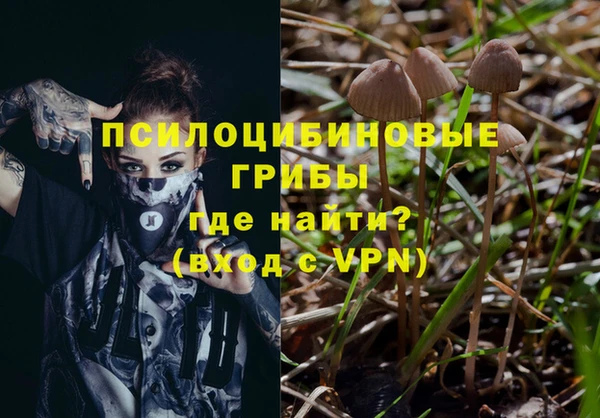 ALPHA-PVP Бородино